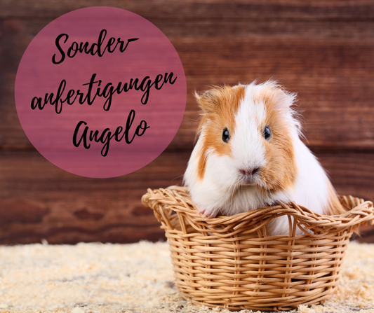 Individuelle Anfertigungen für Angelo F.